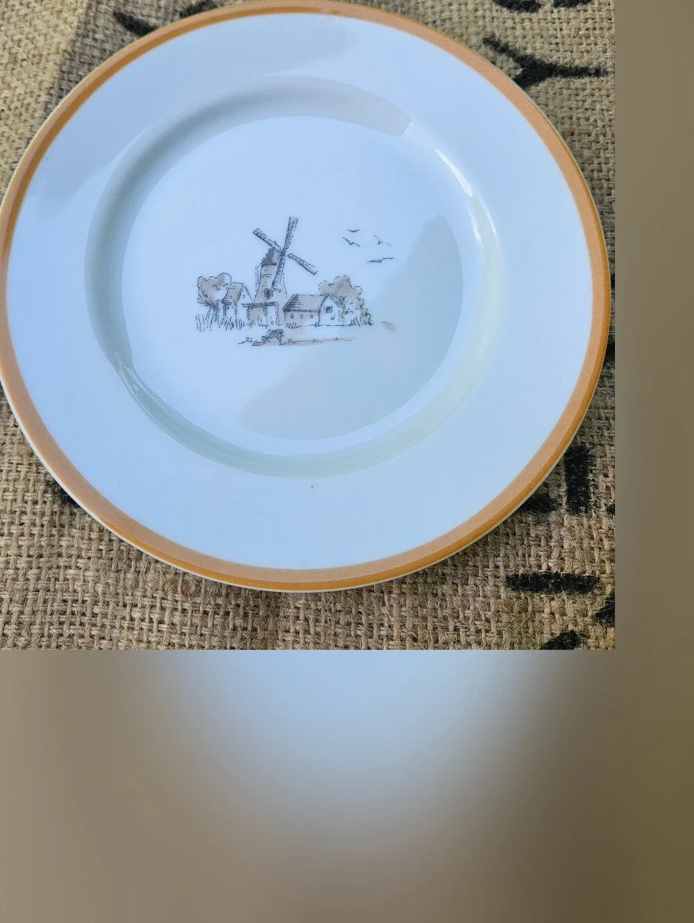 Williams-Sonoma Les Fermiers Salad Plate Windmill Orange Harvest Gold Trim